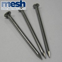 High Quality Common Nail From Factory